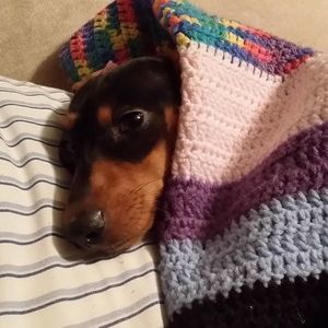 Meet your Posher, Marie